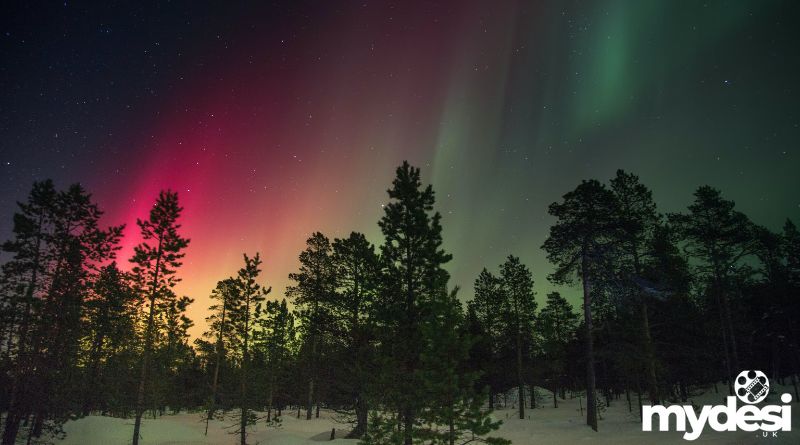 Captivating Night Skies